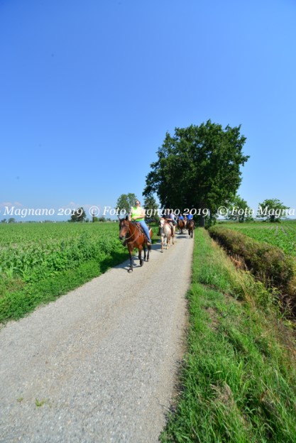 DSC_7184.JPG